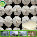 100% Natural garlic allitridum GMP factory garlic allitridum powder